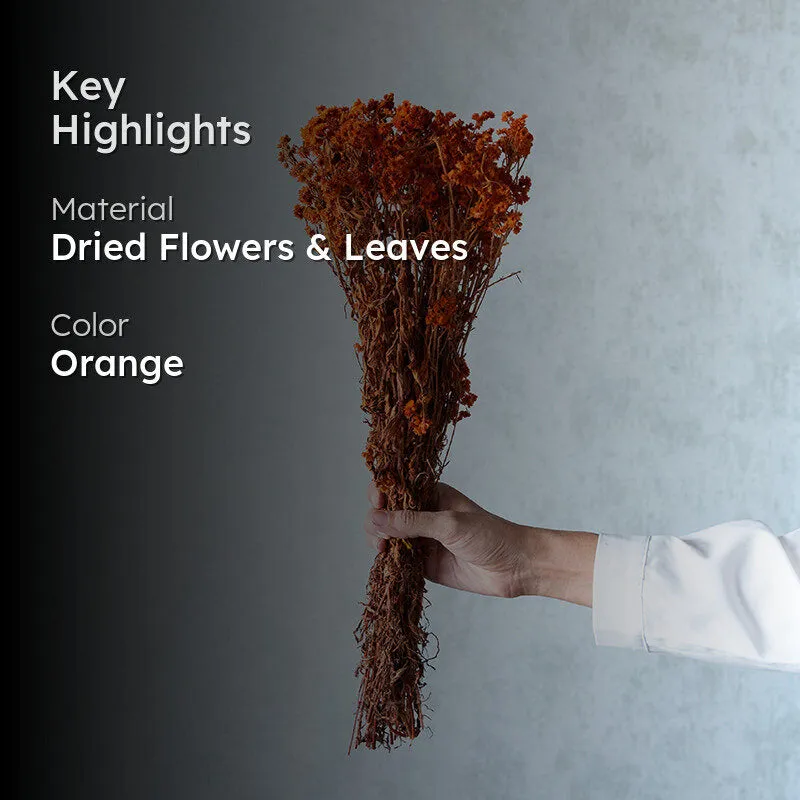 Gypsa Dried Baby's Breath Bunch - Orange media 2