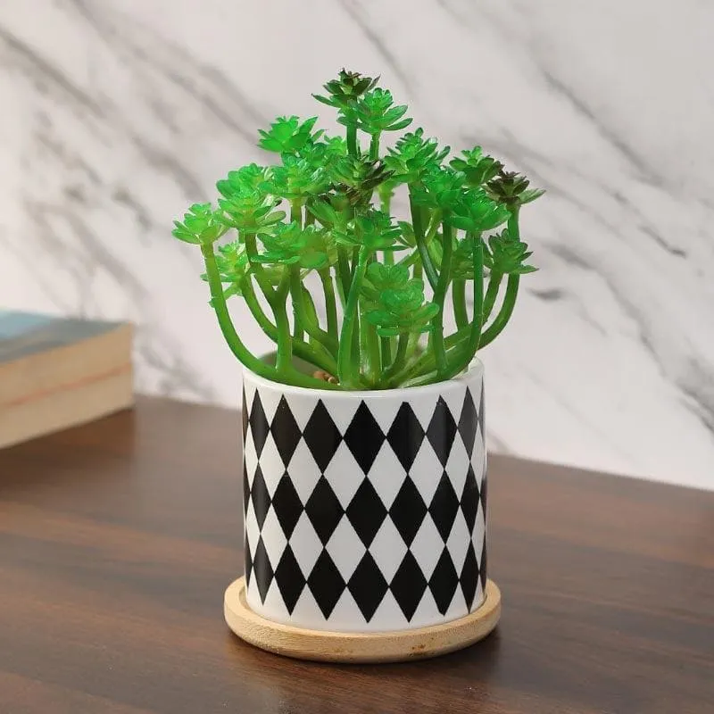 Faux Crassula In Checkered Pot - 17 cms media 1