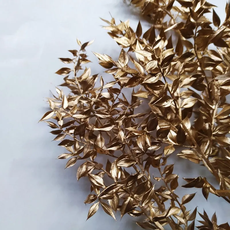Dried Ruscus Bunch (Gold) - Set Of Three media 5