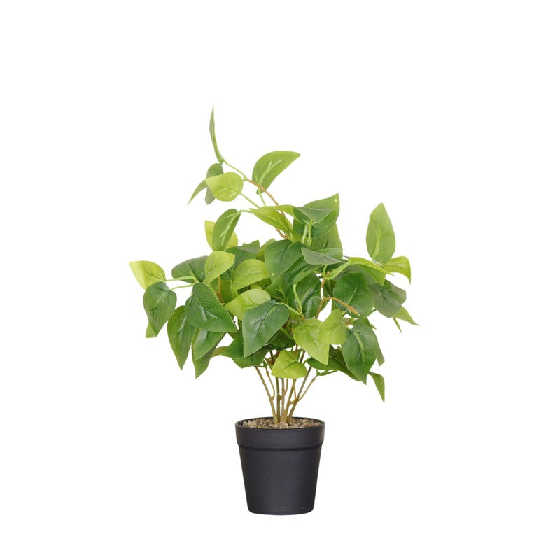 Baby Pothos I Artificial Plant With Black Fiber Pot - 1 Feet media 4