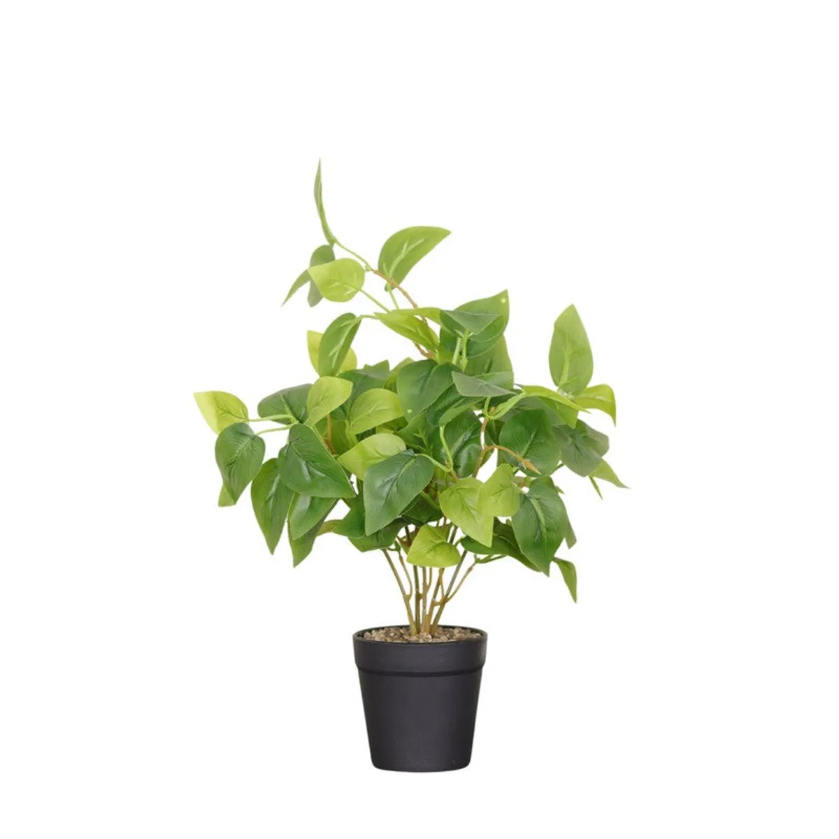Green artificial leafy plant with spreading foliage in a black pot