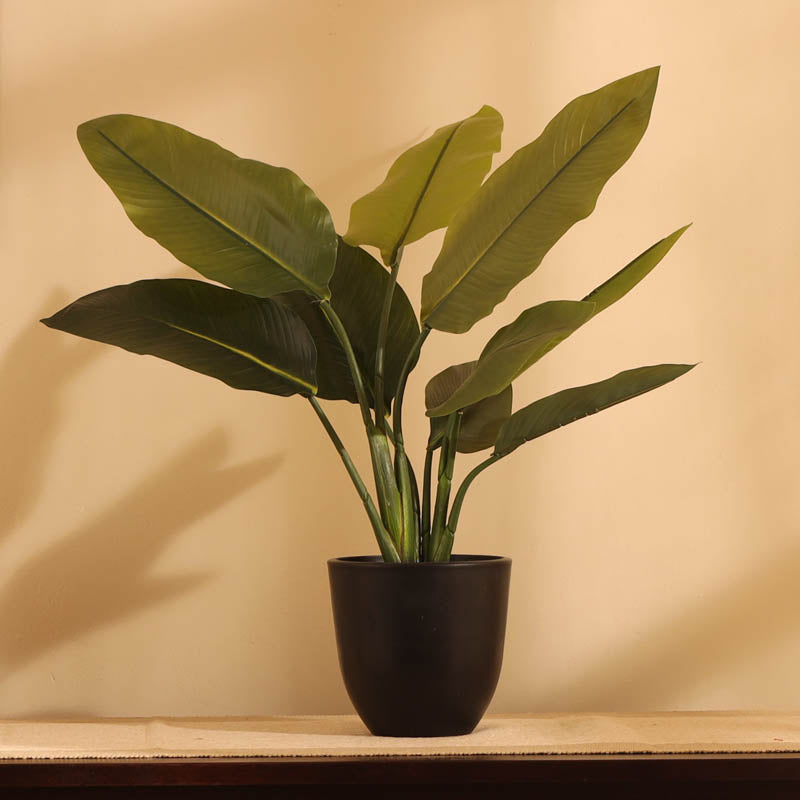 Artificial Banana Plant With Black Plastic Pot - 1 Feet media 3