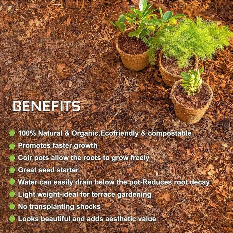 Ora Coir Planter - Set Of Ten media 4