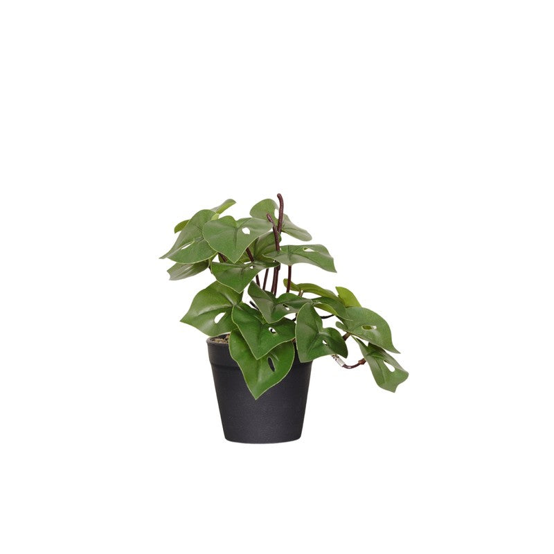 Artificial Philodendron Plant With Black Fiber Pot - 0.6 Feet media 4