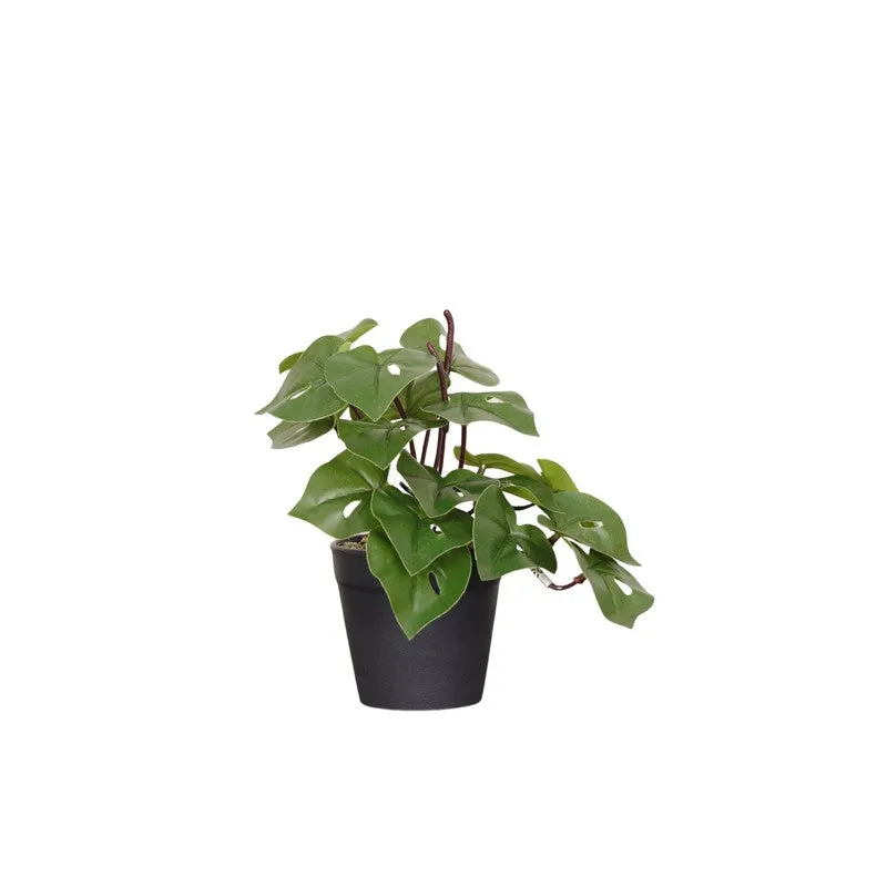 Artificial Philodendron Plant With Black Fiber Pot - 0.6 Feet media 4