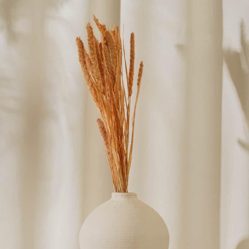 Natural Fiber