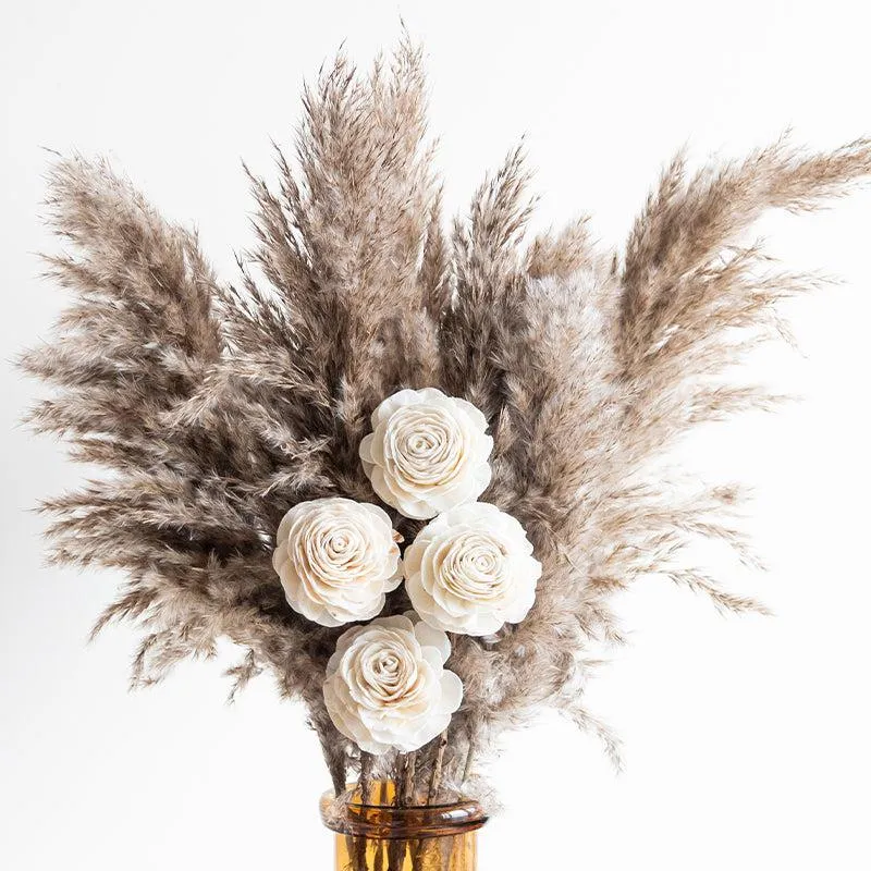 Sittora Naturally Dried Pampas Bunch (Beige)- Set Of Fourteen media 5