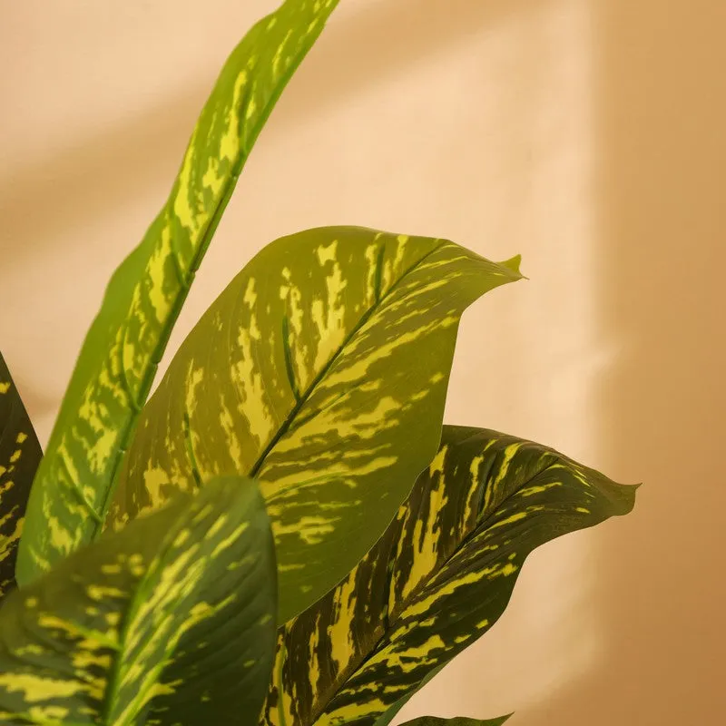 Artificial Dieffenbachia Plant With Black Plastic Pot 3 ft media 8