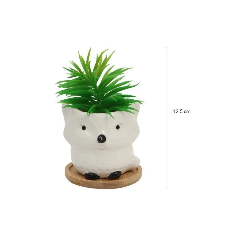 Faux Senecio In Foxy Face Pot - 13 cms media 6