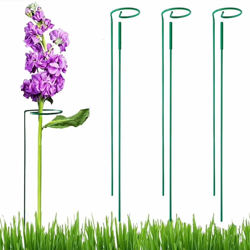 Rio Metal Plant Stake - Set of Three media 5