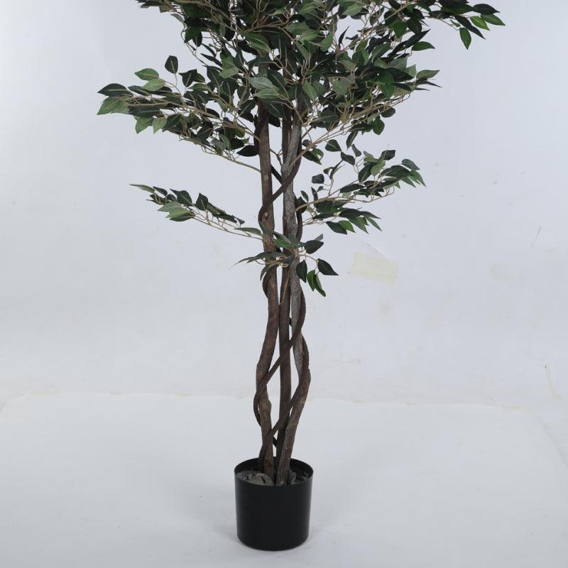 Faux Cape Ficus Plant With Black Plastic Pot - 5.25 ft media 5