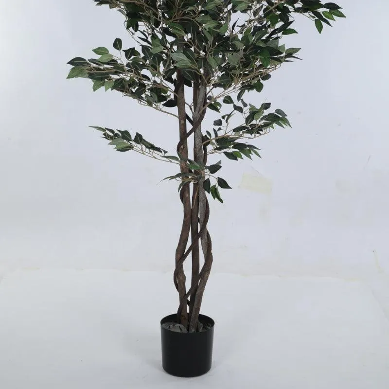 Faux Cape Ficus Plant With Black Plastic Pot - 5.25 ft media 5