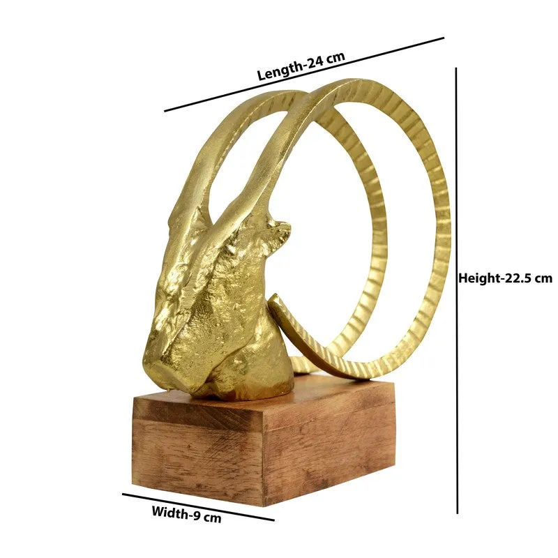 Deer Head Showpiece media 6