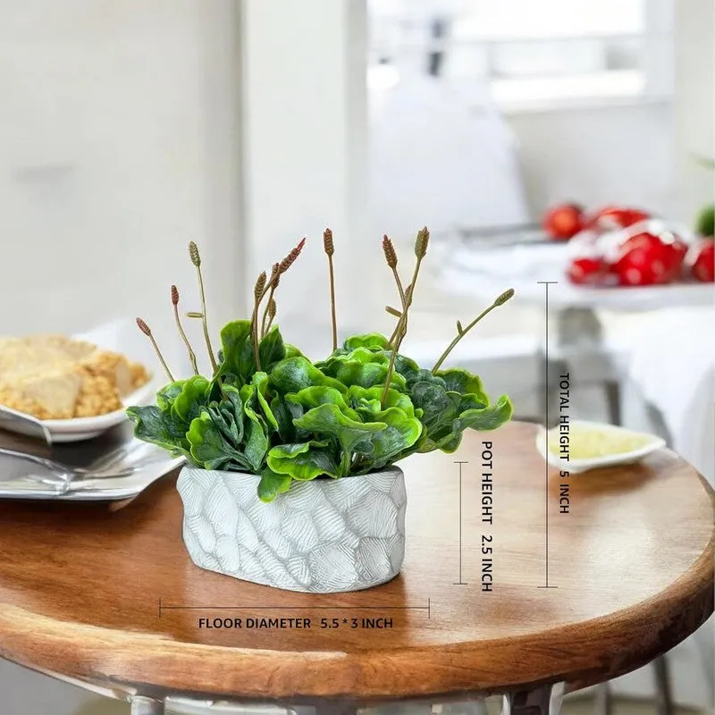Faux  Tropical Moss With Ceramic Pot media 6