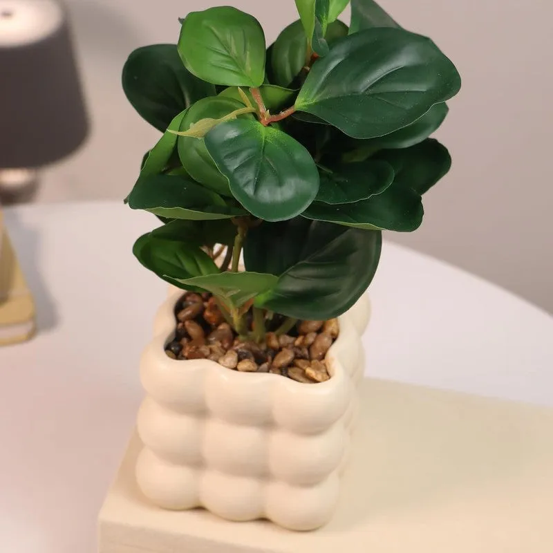 Ivory Bubble Vase with plant media 5
