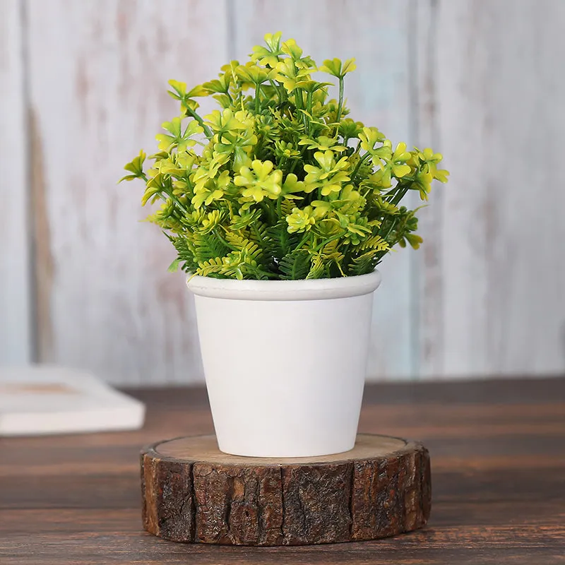Belka Artificial Plant With Black Plastic Pot - Set Of Two media 4