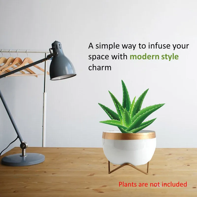 Attva Metal Planter With Stand - White media 4