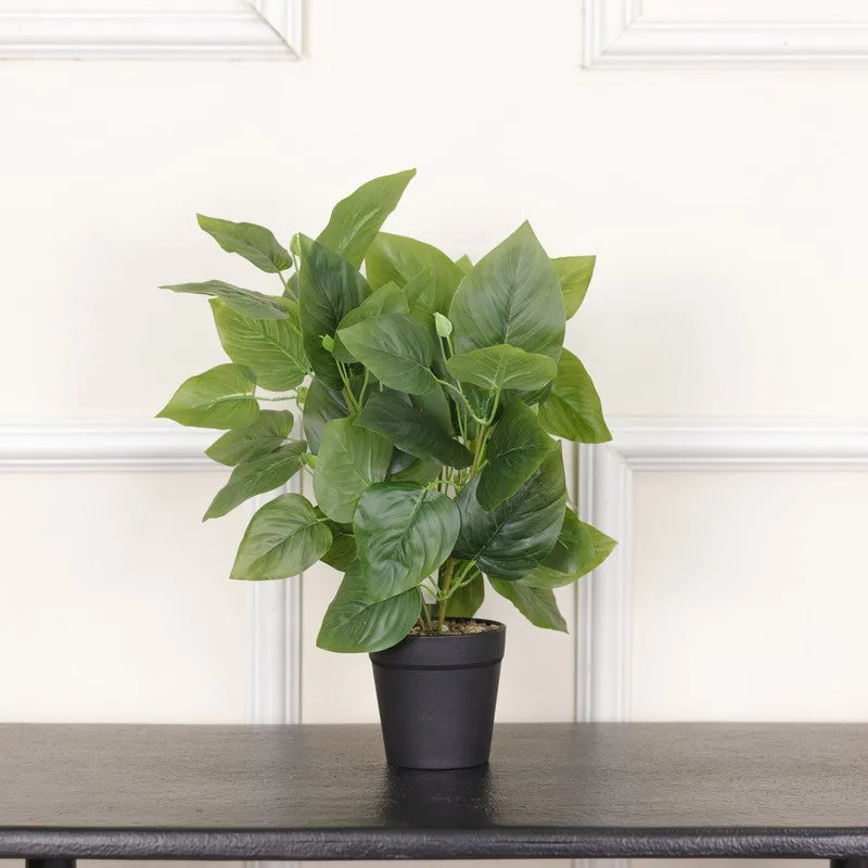 Artificial Pothos Plant With Black Fiber Pot (Green) - 1 Feet media 3