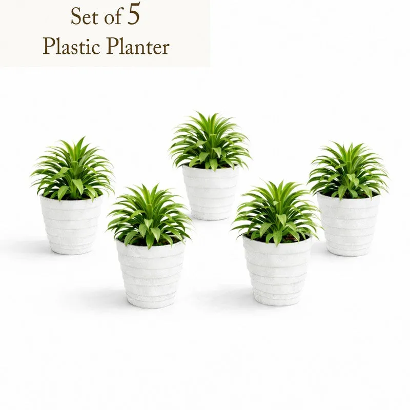 Velora Planters (White) - Set Of Five media 3