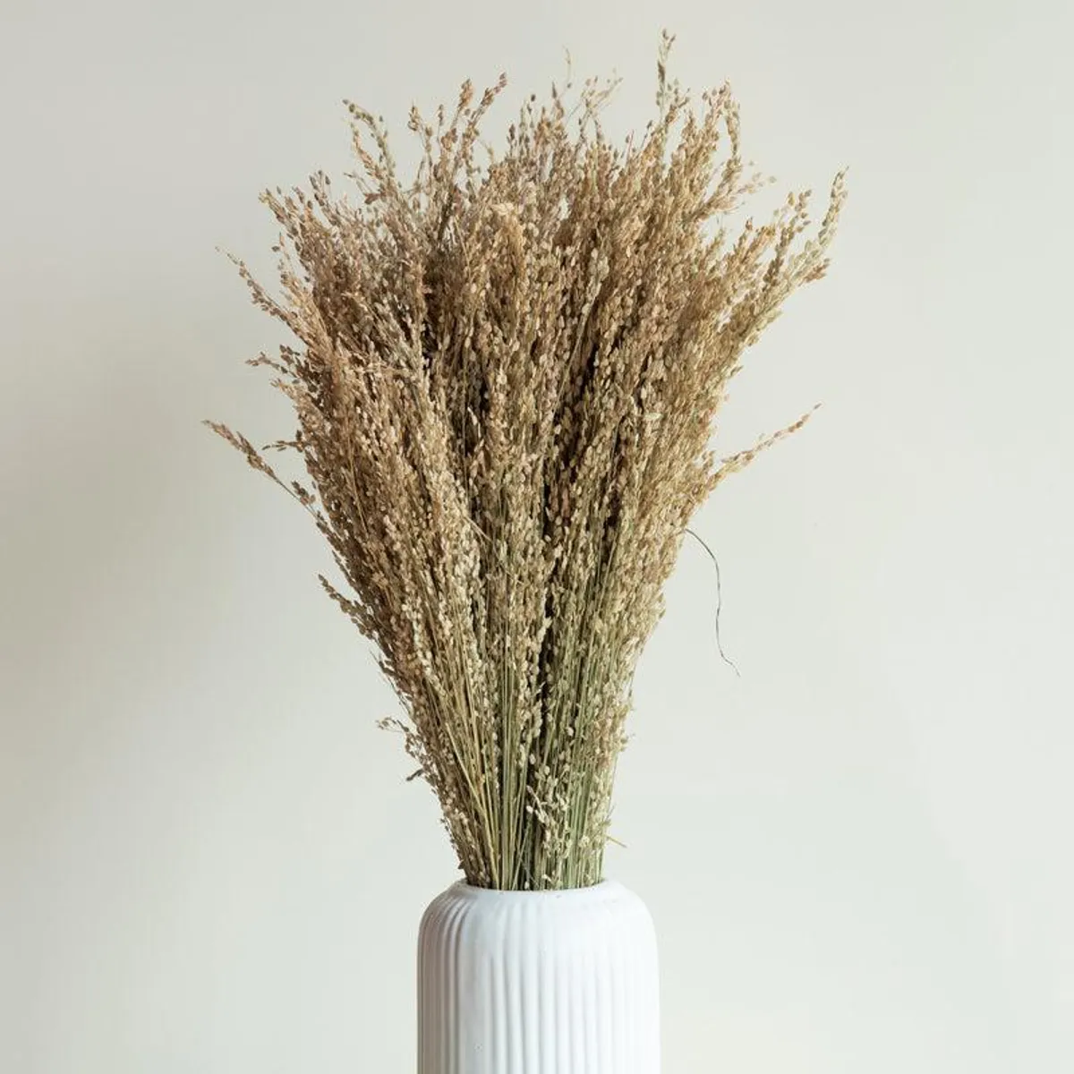 Close view of brown dried grass arranged in a white vase