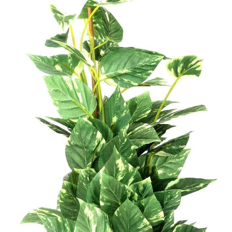 Faux Pothos Bonsai In Cone Pot (50 cms) - Big media 3