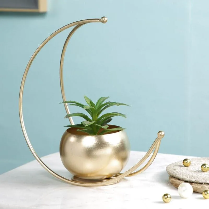 Luna Loop Metal Planter media 3