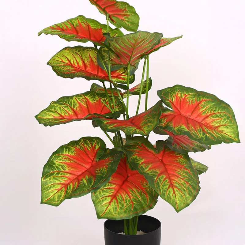 Calena Artificial Caladium With Black Plastic Pot - Red media 5