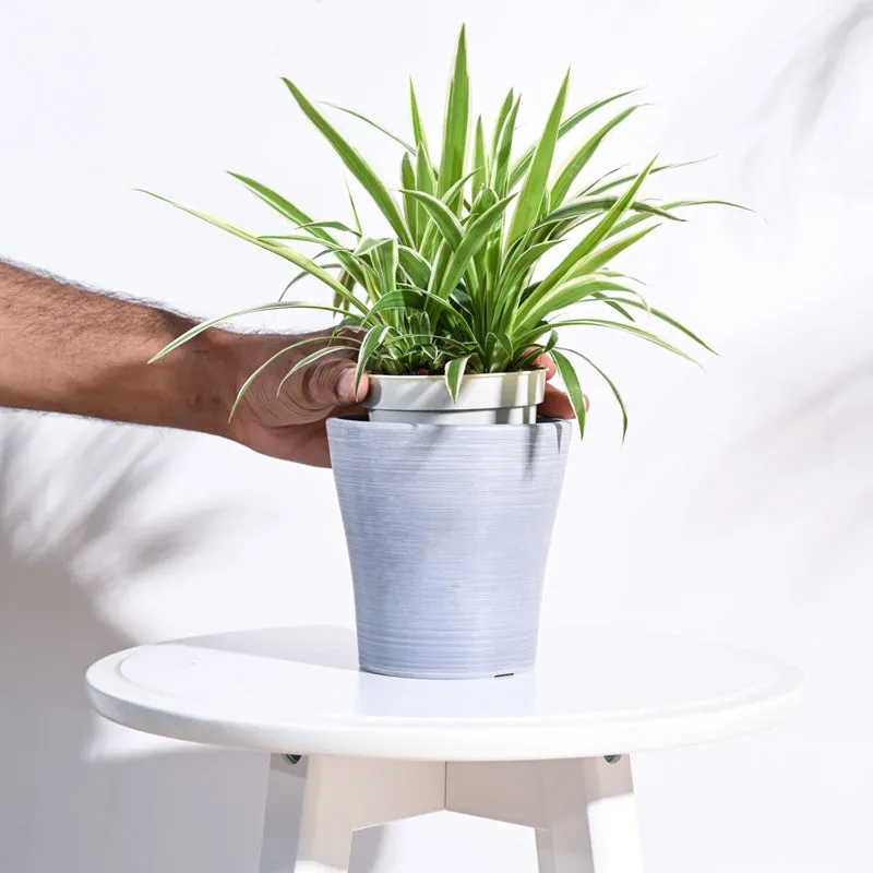 UGAOO Tivoli Planter for Home & Balcony Garden- Light Grey media 5