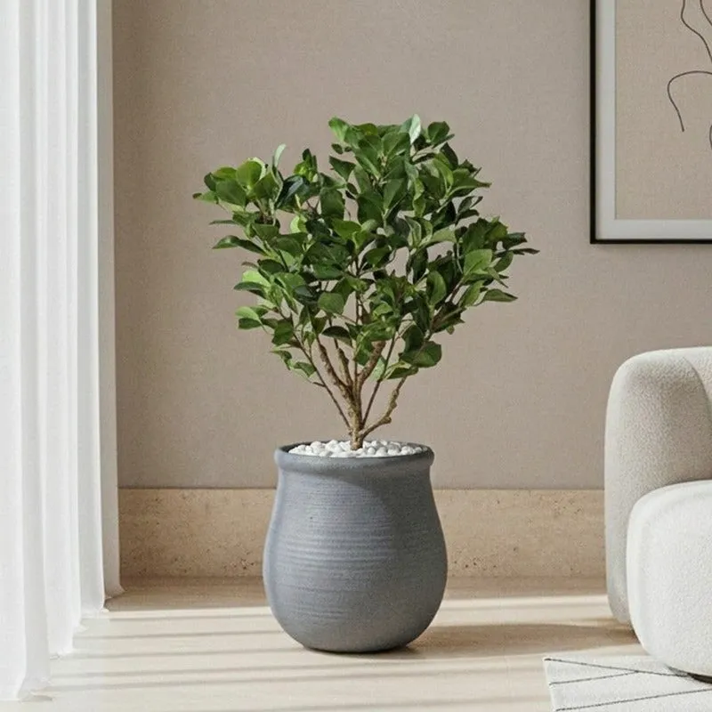 Grey floor planter holding a leafy indoor tree beside a neutral armchair