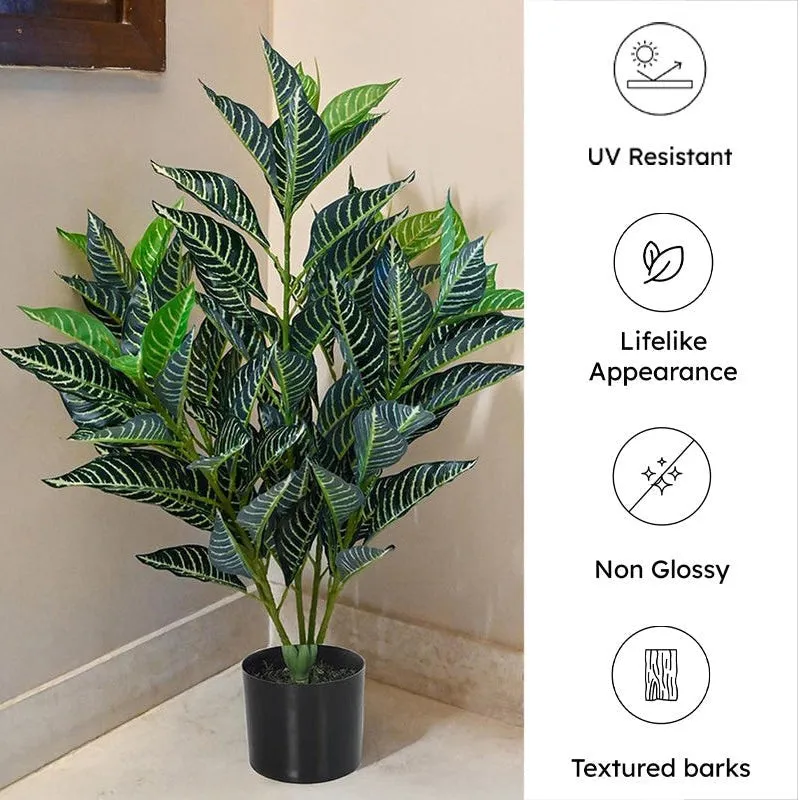 Faux Deco Rubber Plant With Black Plastic Pot - 2.79 ft media 6