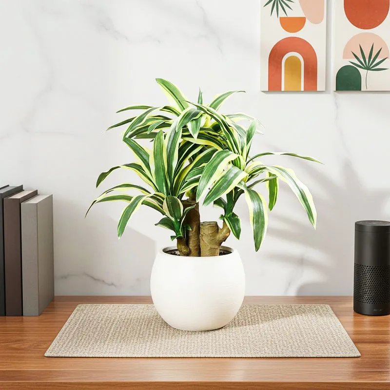 Faux Dracaena Bonsai (35 cms) - Yellow & Green media 1