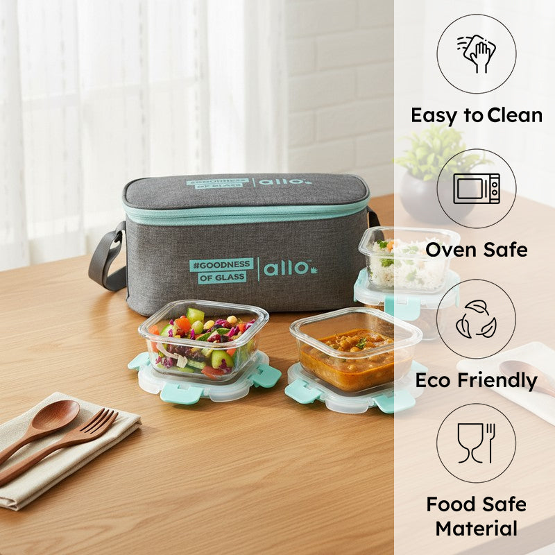 Tifrex Leak Proof Glass Lunch Box (310 mL Each) - Set Of Four