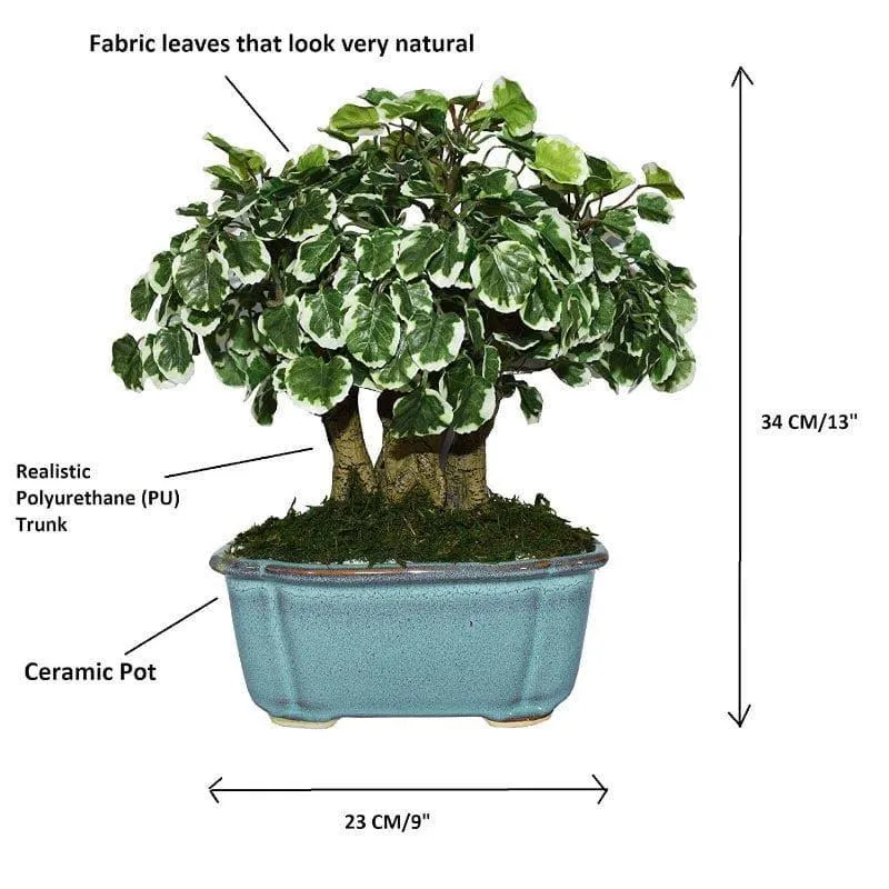 Faux Polyscia Bonsai In Tub Pot - 34 cms media 4