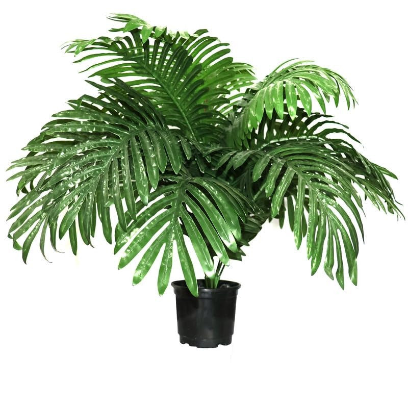 Florascape Artificial Areca Palm Fern Plant With Black Plastic Pot media 5