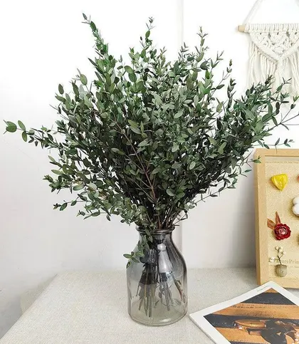 Dried Flowers & Leaves