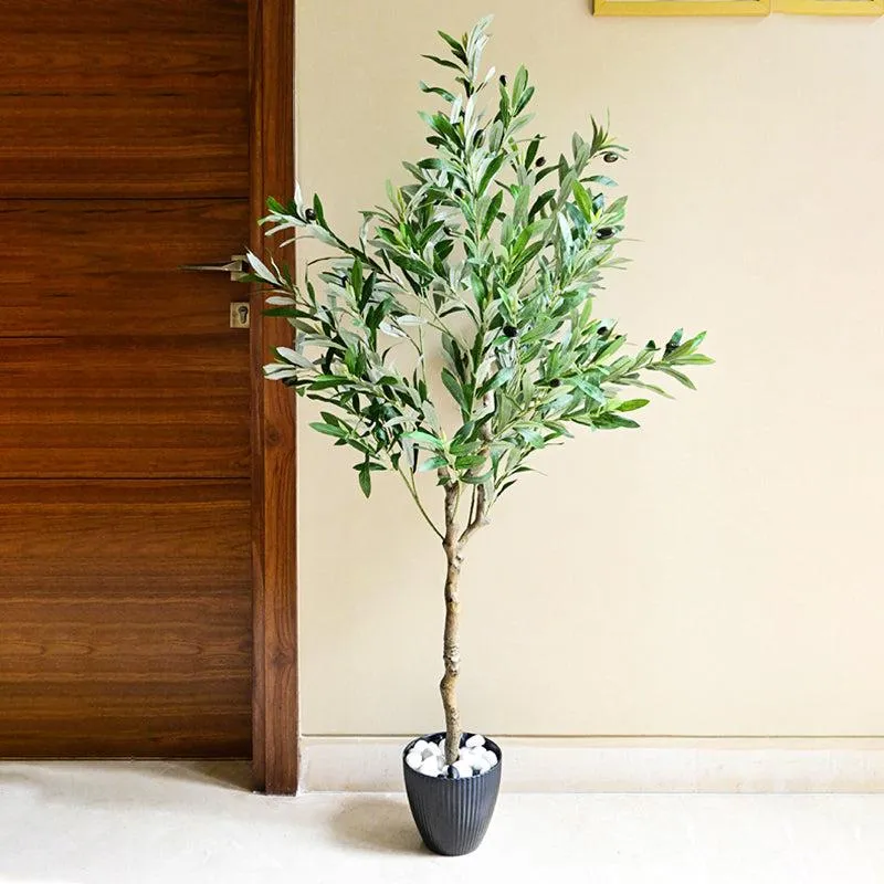 Olivara Artificial Olive Tree With Black Plastic Pot - 145 cm (4.8 ft) media 6