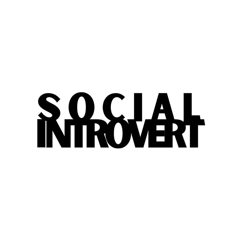 Social Introvert Iron Wall Accent media 3