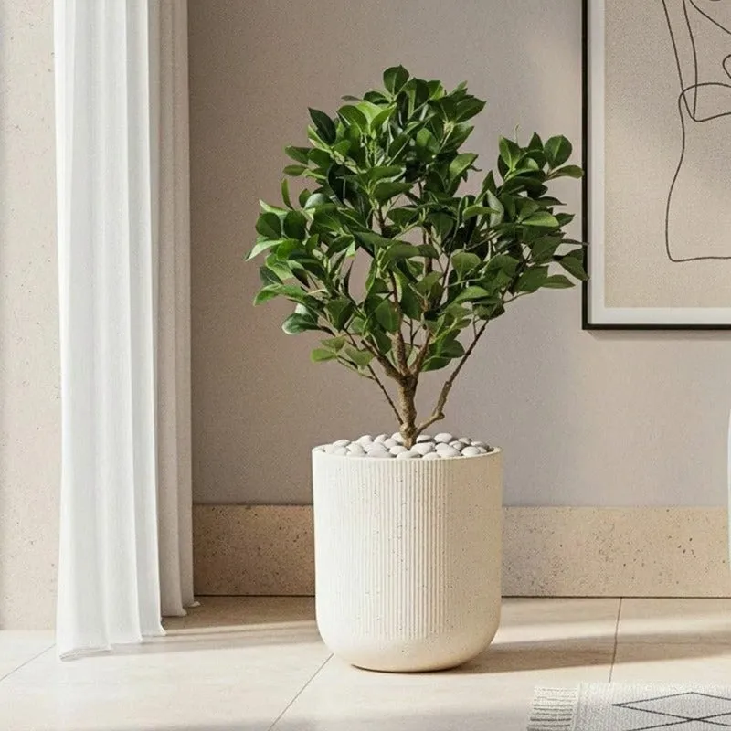 Velora Floor Planter - Off White media 5