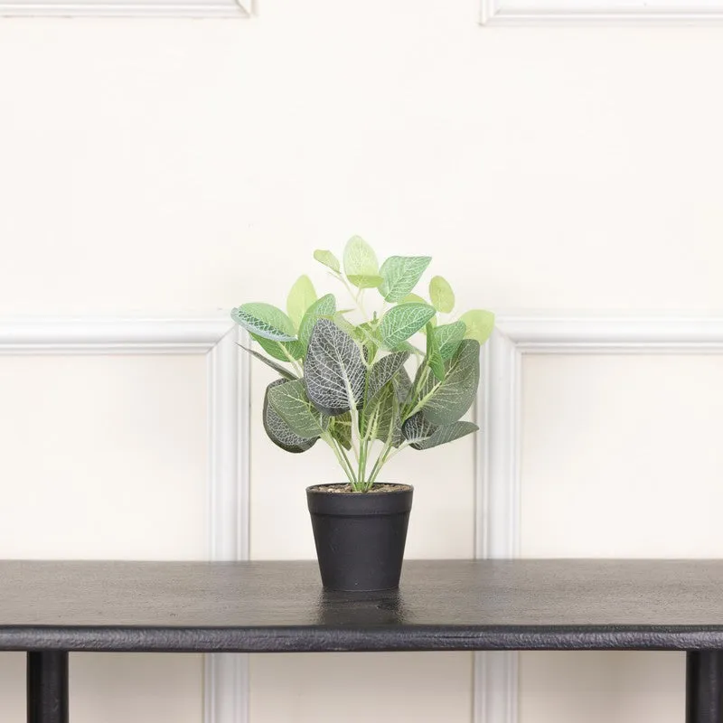 Artificial Nerve Plant With Black Fiber Pot (White,Green) - 0.9 Feet media 3