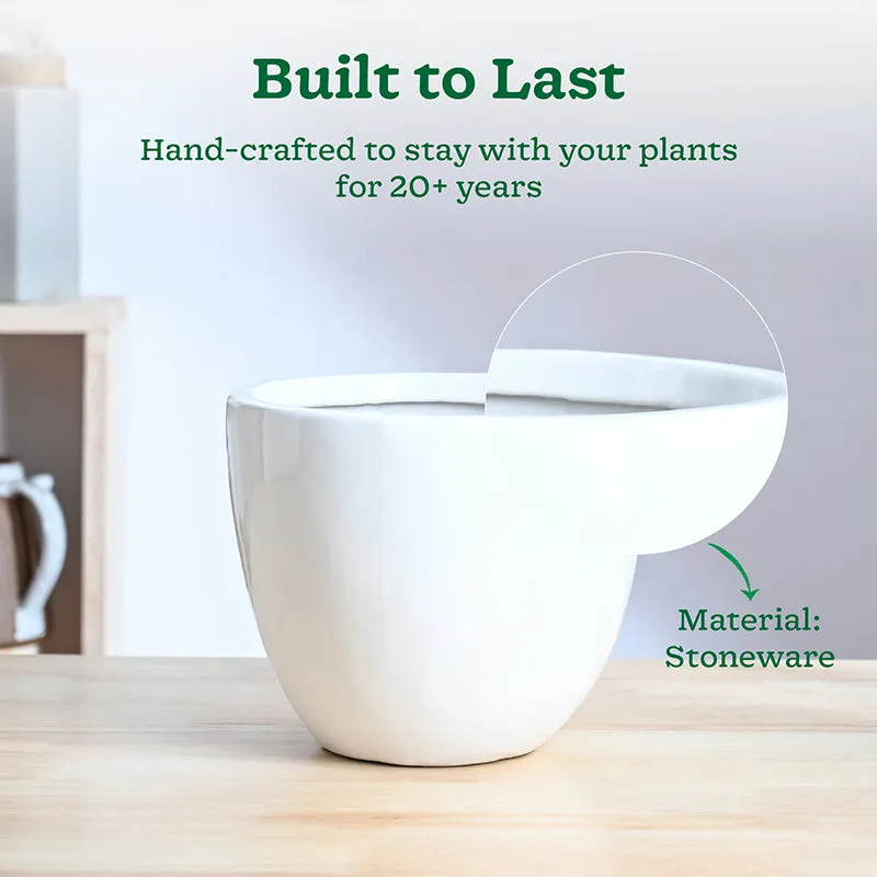 Cantata Ceramic Planter - White media 3