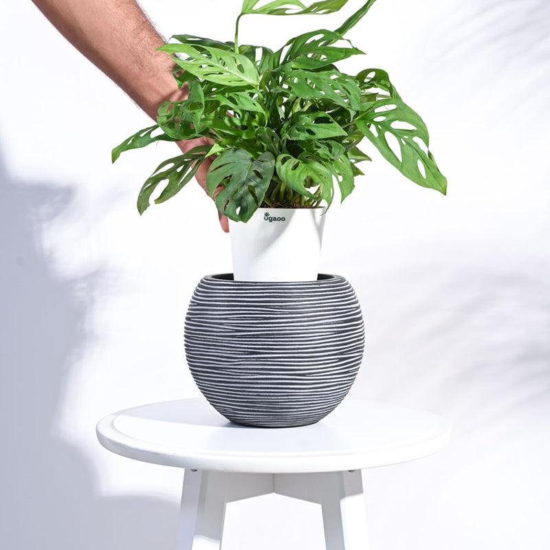 UGAOO Planter Vase Ball Rib - Black media 5