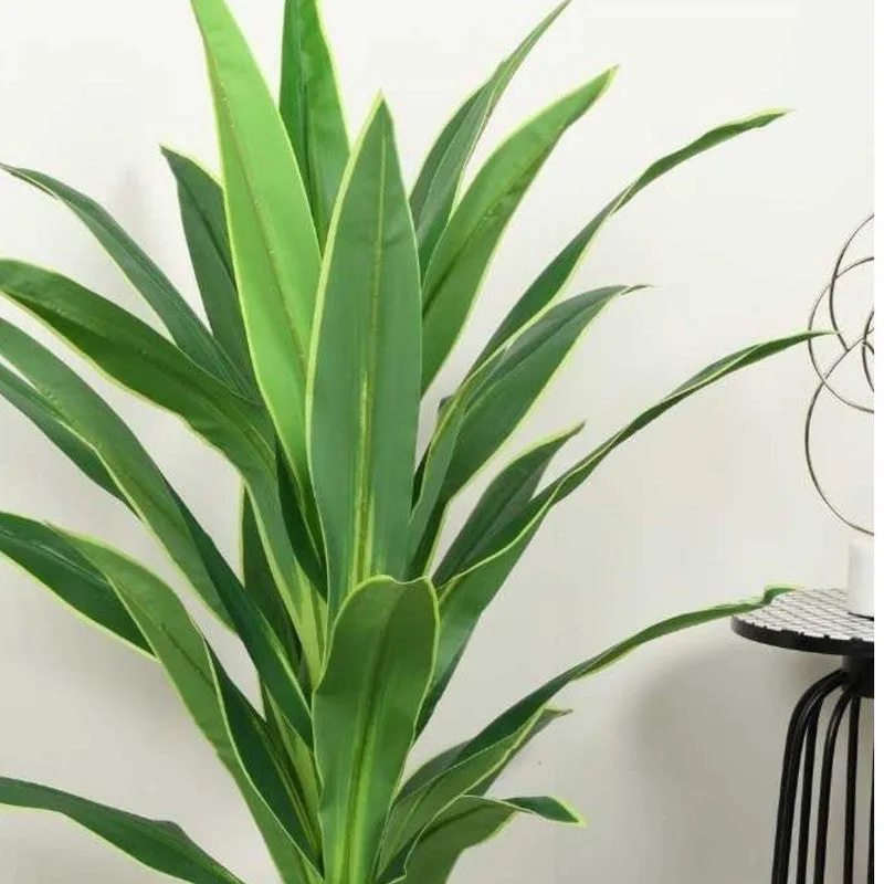 Faux Lush Dracaena Reflexa Plant With Black Fiber Pot - 3.6 Feet media 6