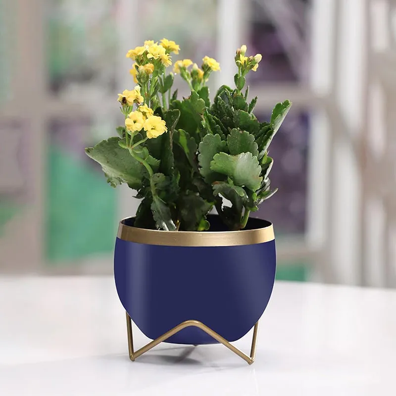 Brita Planter With Stand - Blue media 2