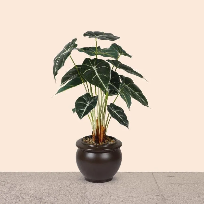 Faux Alocasia Bonsai In Ceramic Pot (59 cms) - Brown media 1
