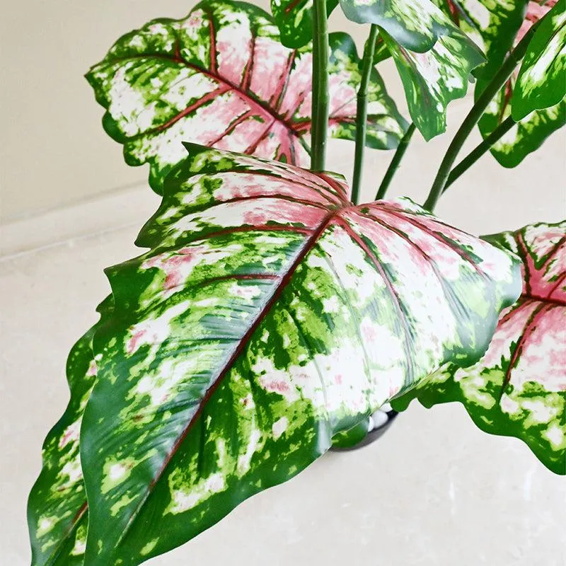 Calatrop Artificial Tropical Caladium With Basic Black Plastic Pot - 150 cm (5 ft) media 6