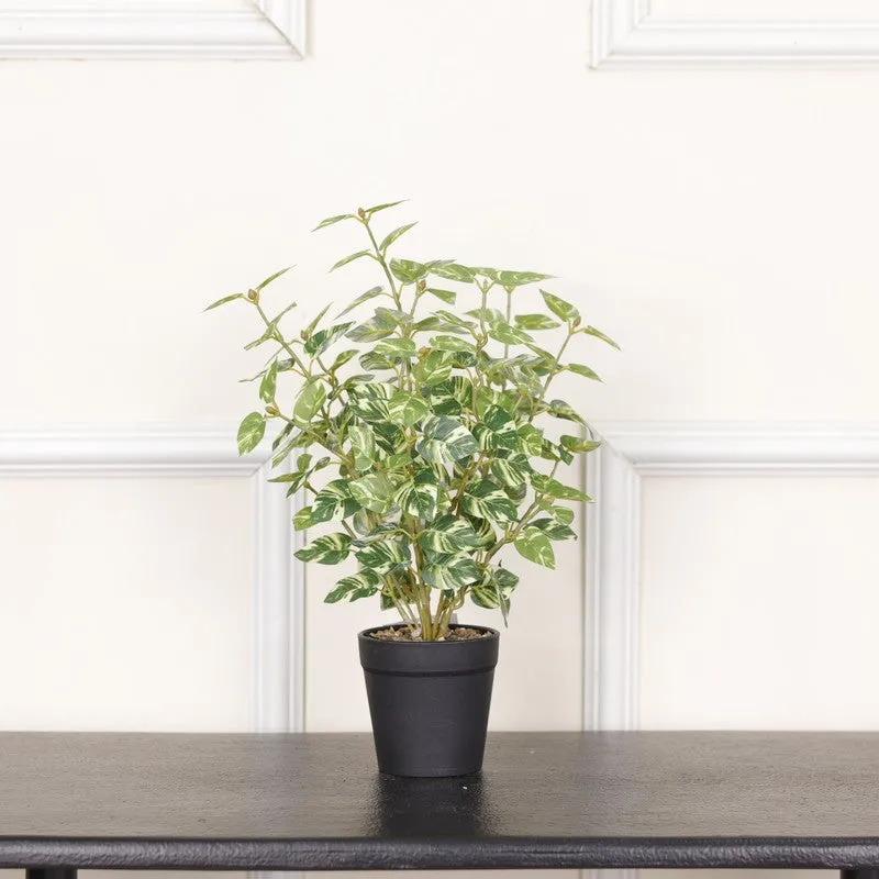 Artificial Natural Looking Pothos Big Plant With Black Fiber Pot (White) - 1.4 Feet media 3