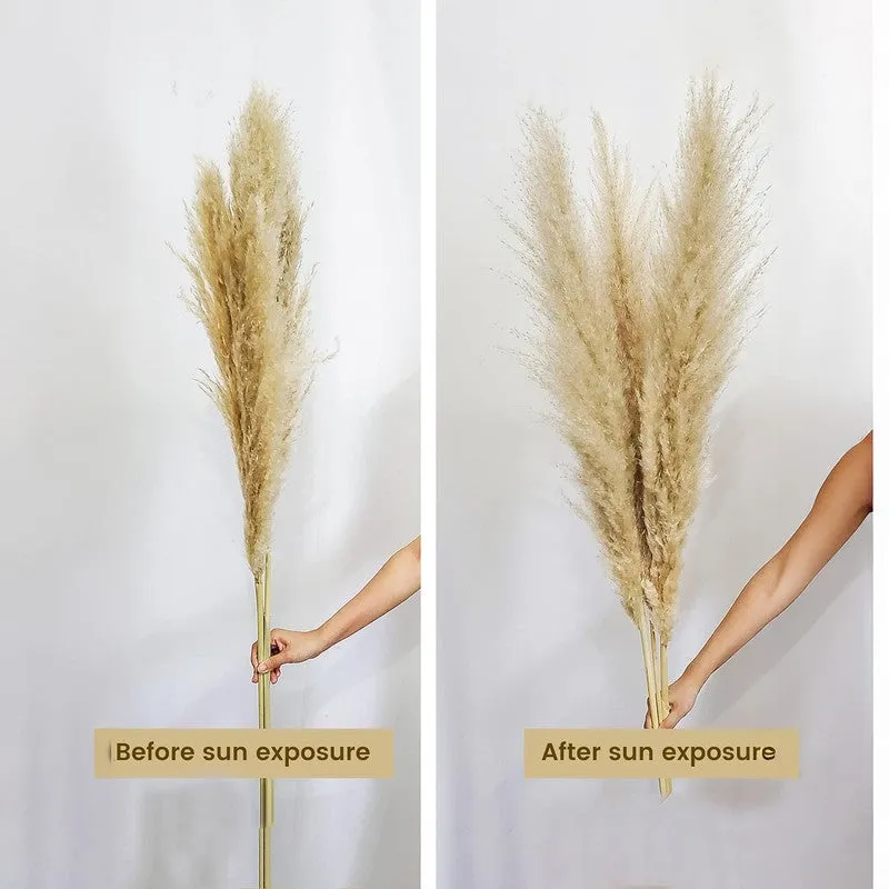 Artificial Rustic Pampas Grass - Set Of Five media 4