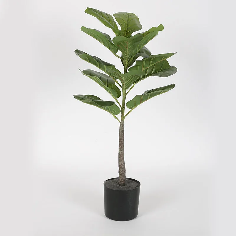 Faux Fiddle Fig Plant Tree With Black Plastic Pot - 2.5 Feet media 4