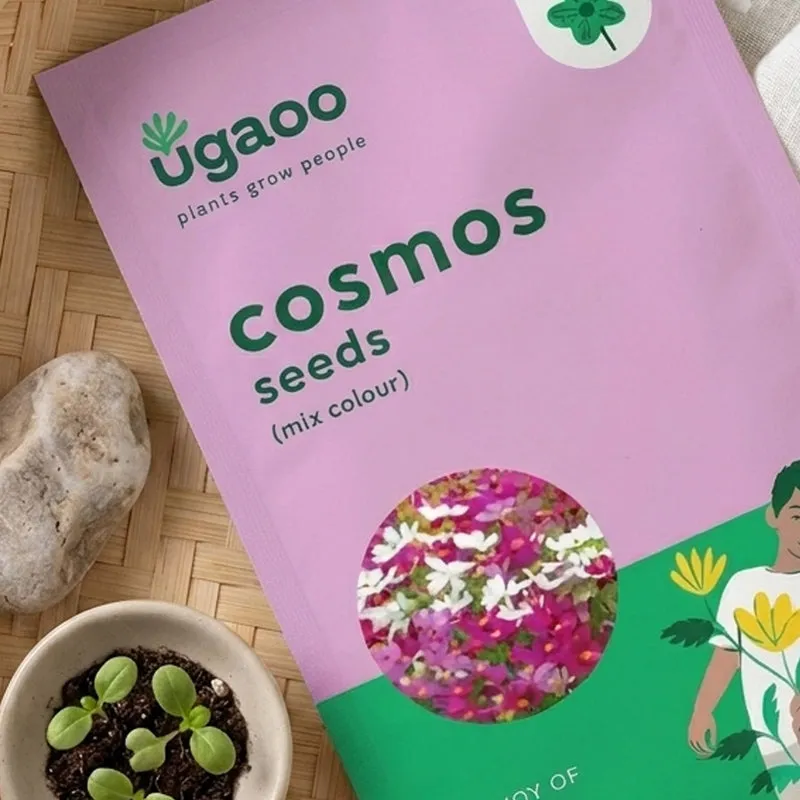 Ugaoo Cosmos Mix Seeds media 3