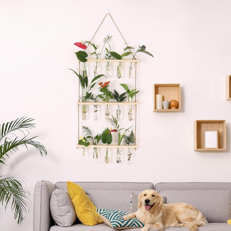 Bade Hanging Test Tube Planter media 3
